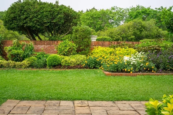 Lawn Care Lawn Care