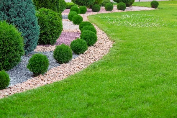 PBC Lawn Services's other services PBC Lawn Services's other services
