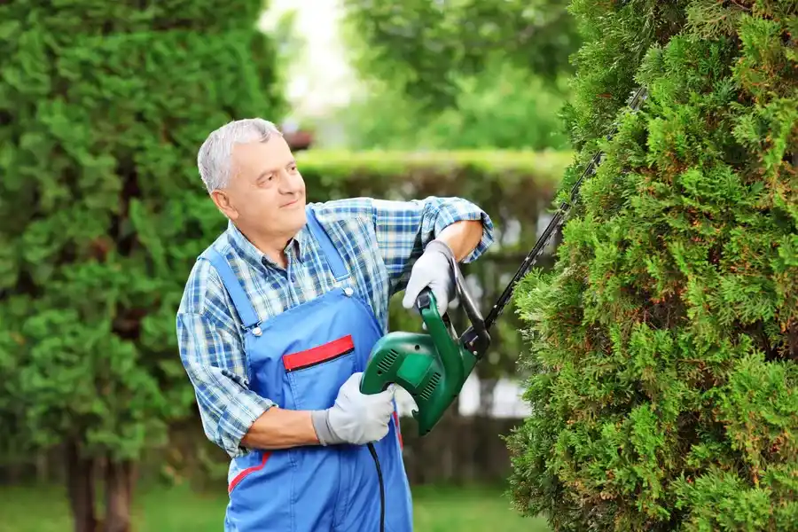 Affordable Bush Trimming Hendersonville NC Affordable Bush Trimming Hendersonville NC