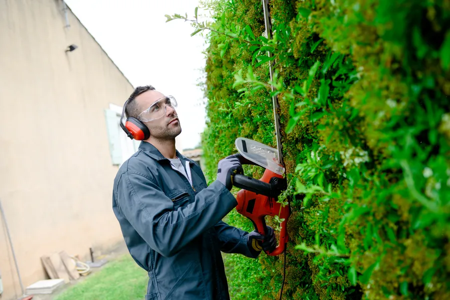 Common Bush Trimming Mistakes And How To Avoid Them in Hendersonville NC Common Bush Trimming Mistakes And How To Avoid Them in Hendersonville NC