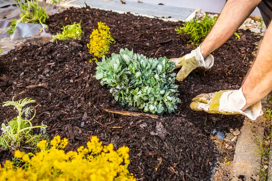 Excellent Mulching Hendersonville NC Excellent Mulching Hendersonville NC