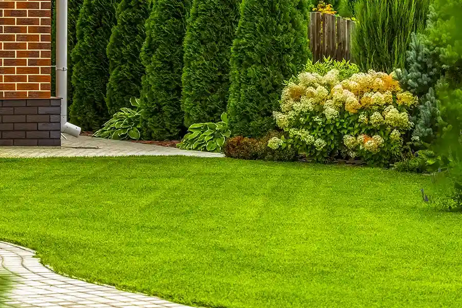 Local Lawn Care Hendersonville NC Local Lawn Care Hendersonville NC