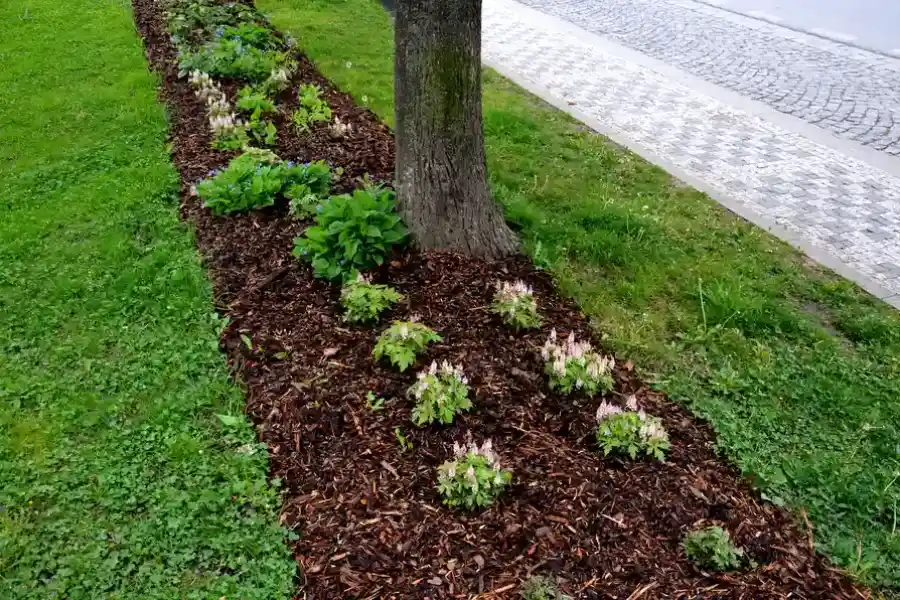 Quality Mulching Hendersonville NC Quality Mulching Hendersonville NC