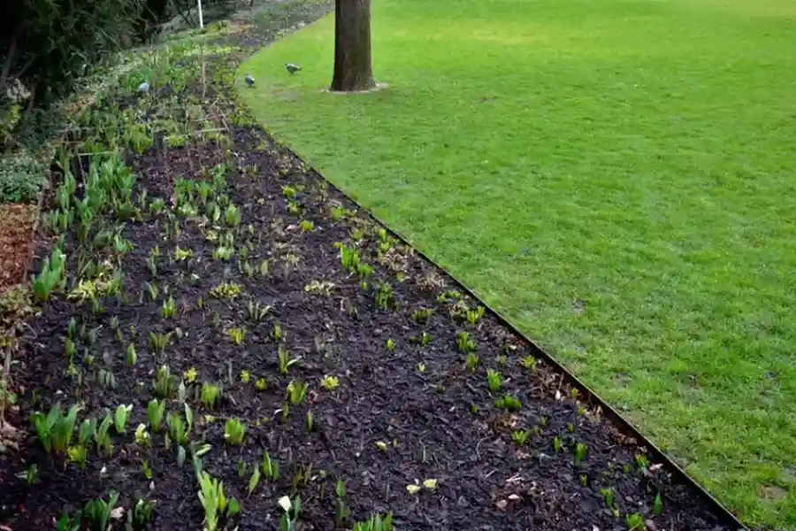 Reliable Landscape Edging Hendersonville NC Reliable Landscape Edging Hendersonville NC