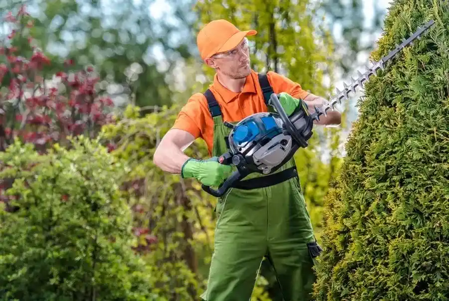 The Benefits Of Professional Bush Trimming For Your Yard Hendersonville NC The Benefits Of Professional Bush Trimming For Your Yard Hendersonville NC