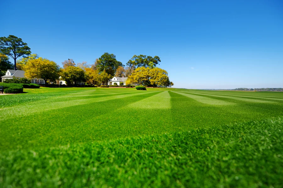 The Role Of Lawn Care In Enhancing Rental Curb Appeal in Hendersonville NC The Role Of Lawn Care In Enhancing Rental Curb Appeal in Hendersonville NC