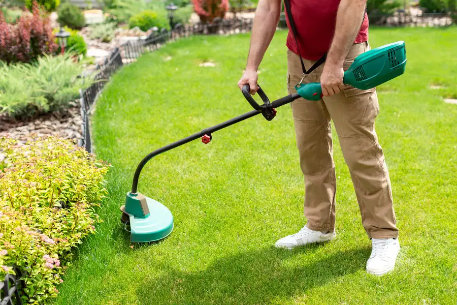 Top-rated Lawn Care Hendersonville NC Top-rated Lawn Care Hendersonville NC